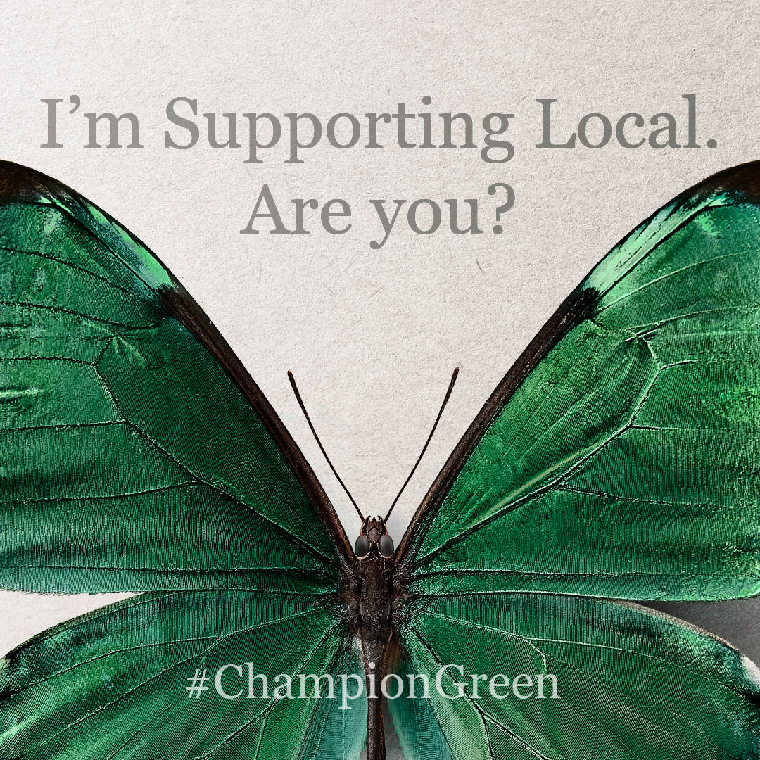 Champion Green this Christmas